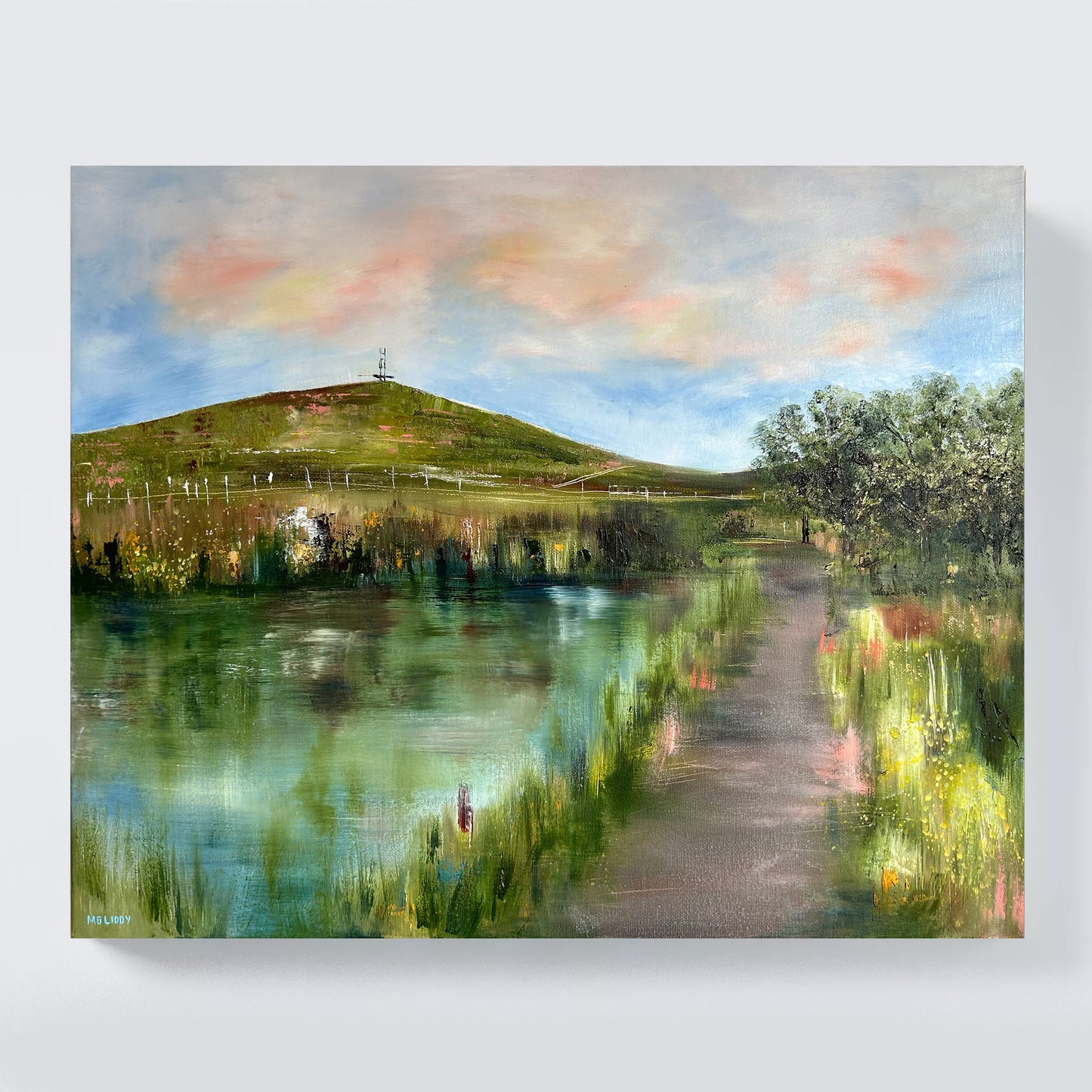 Heart of the Belfast Hills