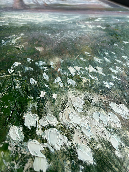 Snowdrops, The Argory