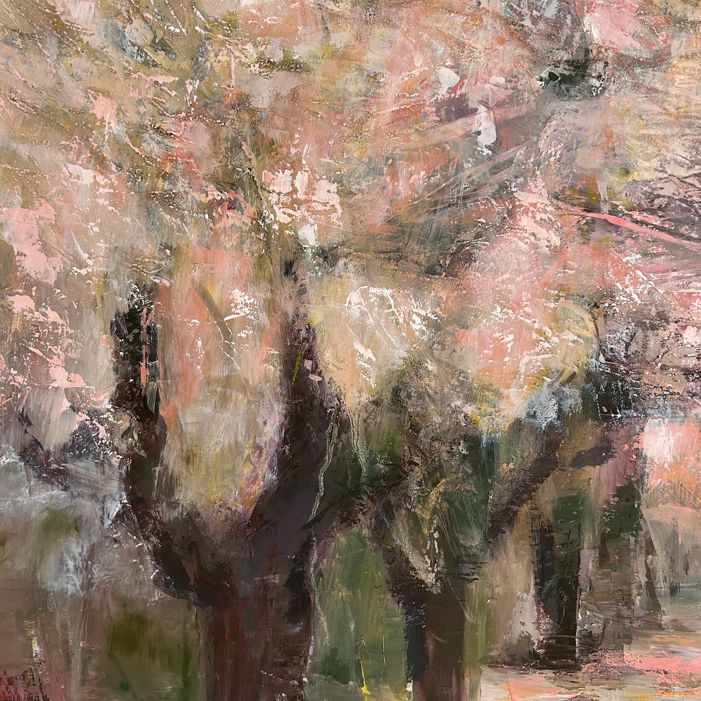 Apple Blossom Orchard