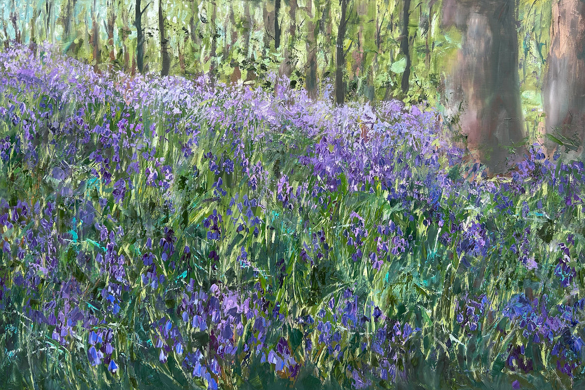 Bluebell Woods, Loughgall