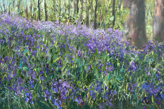 Bluebell Woods, Loughgall