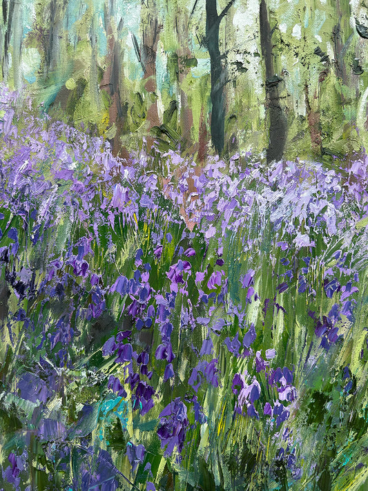Bluebell Woods, Loughgall
