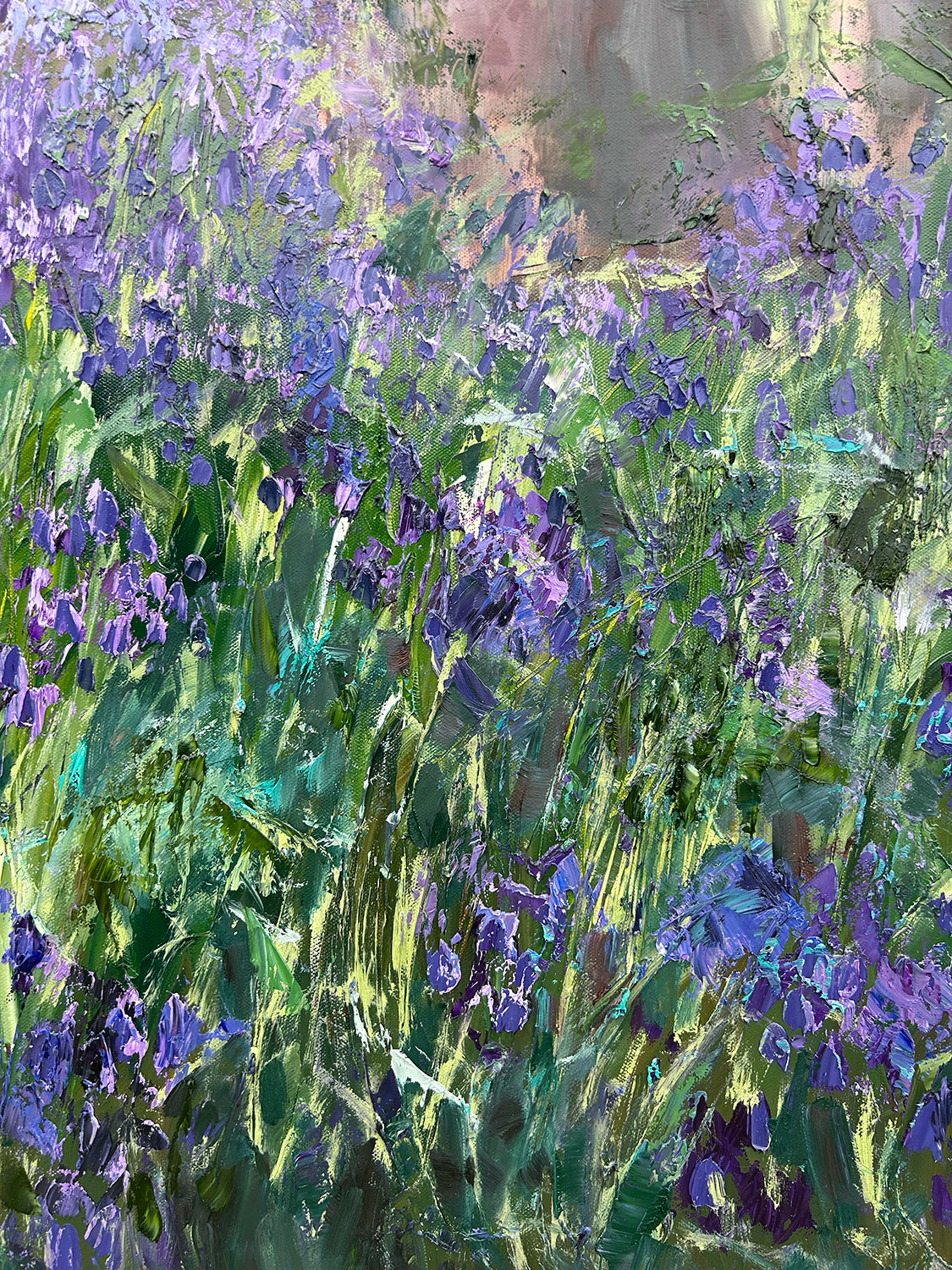 Bluebell Woods, Loughgall