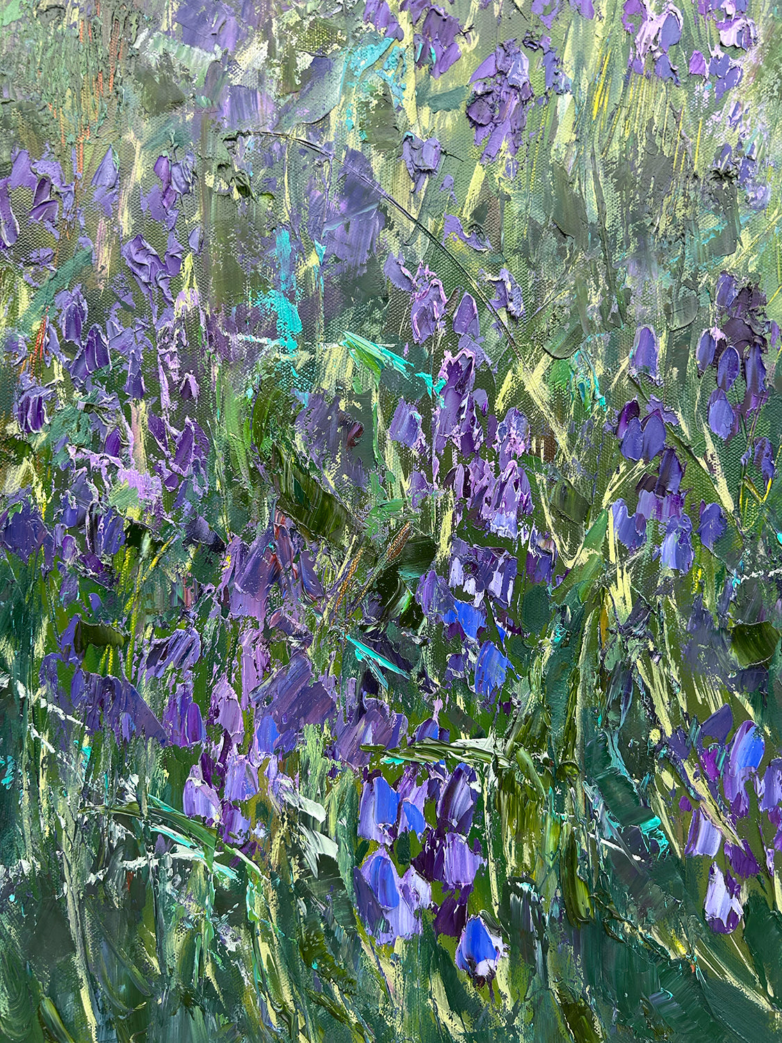 Bluebell Woods, Loughgall