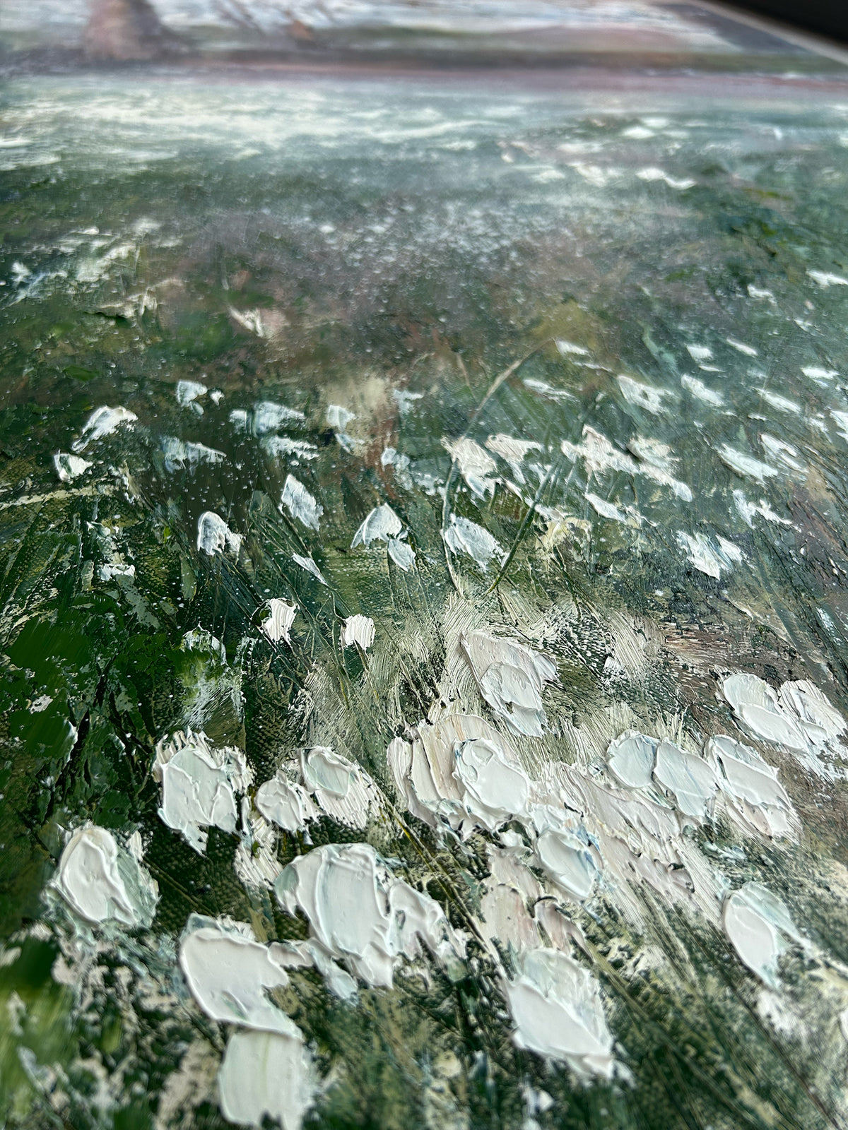 Snowdrops, The Argory