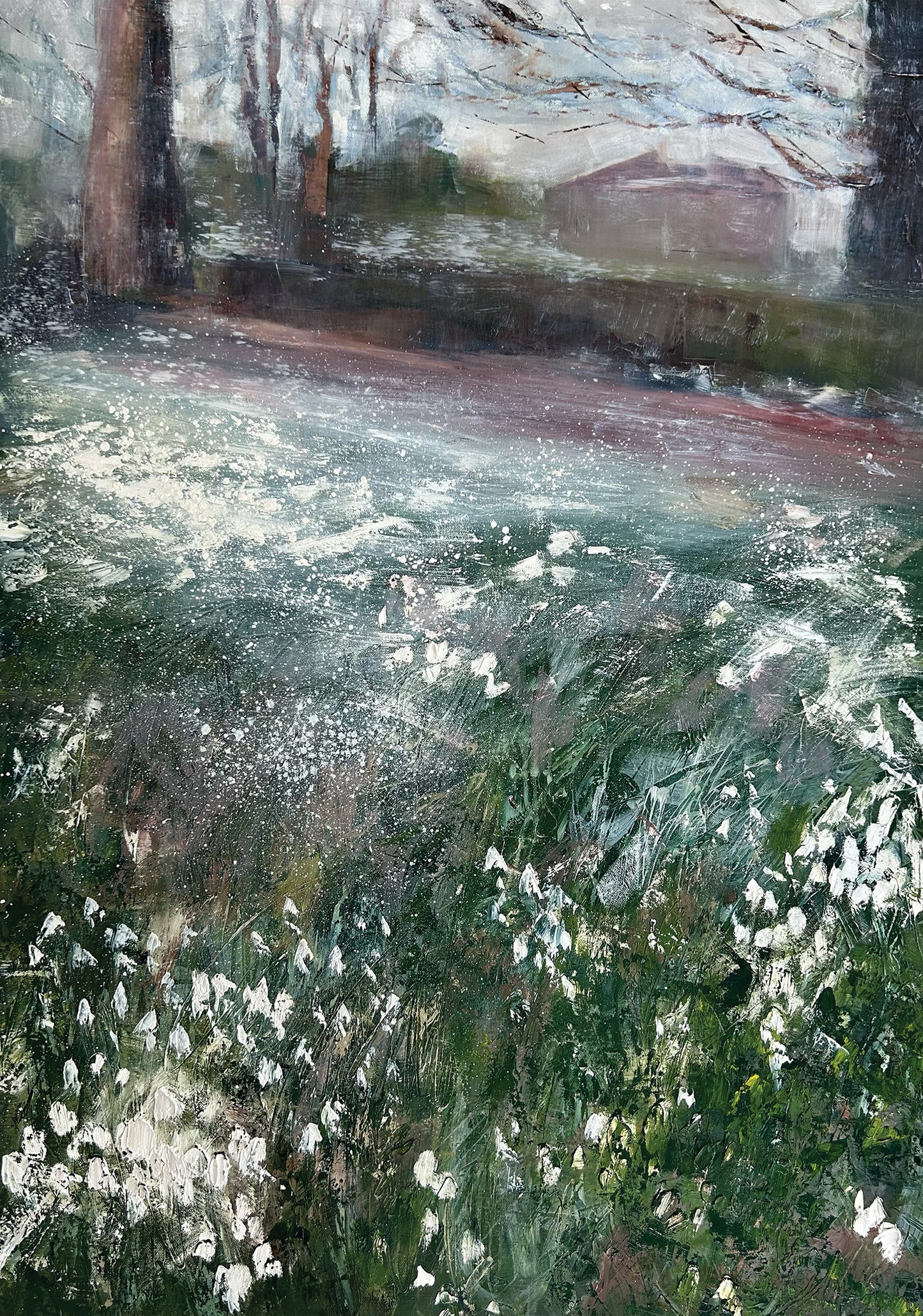 Snowdrops, The Argory