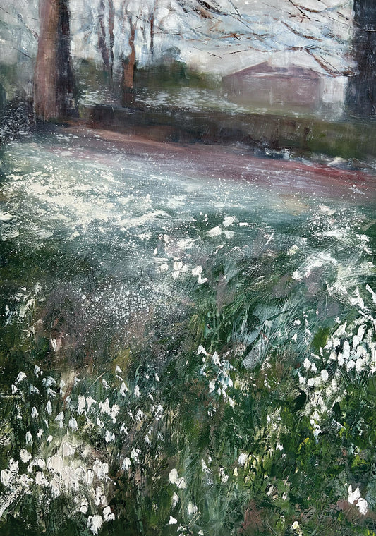 Snowdrops, The Argory