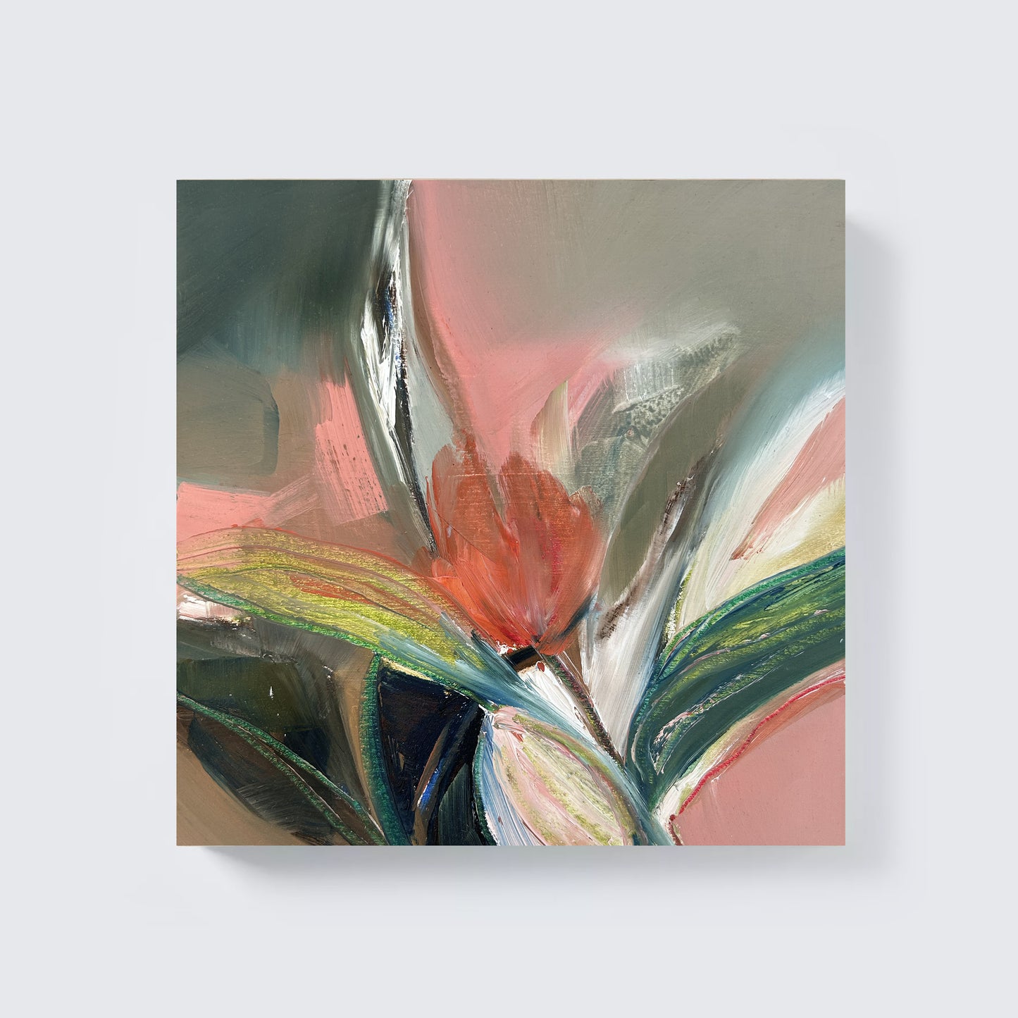 Unfolding Tulip